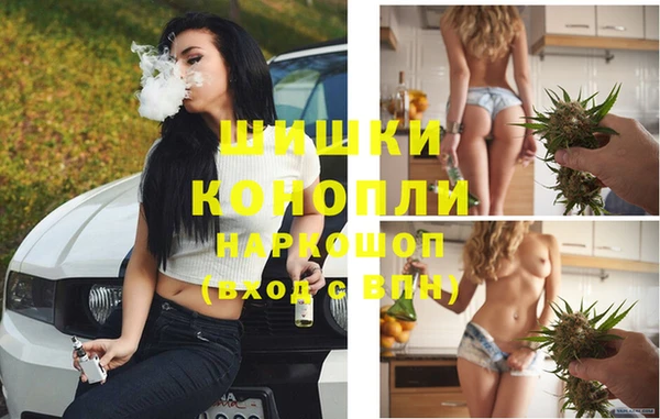 spice Баксан